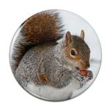 Squirrel Eating in Winter Compact Pocket Purse Hand Cosmetic Makeup Mirror - 2.25 Diameter