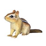 Safari Ltd Incredible Creatures Eastern Chipmunk Baby