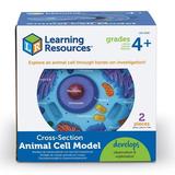Learning Resources Cross-Section Plant Cell Model - 2 Pieces Grades 4+ Plant Anatomy for Kids STEM Classroom Supplies Science Exploration Activities Science Classroom Accessories