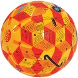 American Educational Products 24 Clever Catch Physics Ball