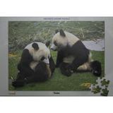 Tomax Jigsaw Puzzle - Pandas (500 Pieces)