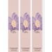 Vince Camuto Fiori Eau de Parfum Rollerball for Women, 0.2 Oz (PACK 3)