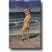 Boy Urinating Into the Sea Painting Bathroom Picture on Stretched Canvas Wall Art Decor Ready to Hang!.