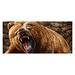 Grizzly Bear Novelty Sign | Indoor/Outdoor | Funny Home DÃ©cor for Garages Living Rooms Bedroom Offices | SignMission personalized gift Wall Plaque Decoration
