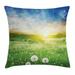 Spring Throw Pillow Cushion Cover Dandelion Flower Field Meadow Rural Grass Bright Sunset Clouds Idyllic Image Decorative Square Accent Pillow Case 20 X 20 Inches Lime Green Blue by Ambesonne