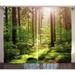 Farm House Decor Curtains 2 Panels Set Forest Spring Time Sunset Moss Woods Leaf Wilderness Fantasy Magical View Living Room Bedroom Accessories 108 X 84 Inches by Ambesonne
