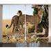 Wildlife Decor Curtains 2 Panels Set Cheetahs Mother and Two Young Baby Looking for Food Dangerous Exotic Animals Window Drapes for Living Room Bedroom 108W X 90L Inches Tan Black by Ambesonne