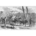 Contrabands coming into Federal Camp-Fine Art Canvas Print (20 x 30 )