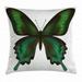 Swallowtail Butterfly Throw Pillow Cushion Cover Realistic Exotic Wildlife Creature in Green Tones Decorative Square Accent Pillow Case 18 X 18 Inches Olive Green Jade Green Black by Ambesonne