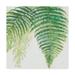 Trademark Fine Art Ferns III Square Canvas Art by Chris Paschke