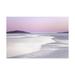 Trademark Fine Art Silver Silence Canvas Art by Lynne Dougla