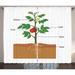 Biology Curtains 2 Panels Set Cartoon Style Illustration Showing the Parts of a Tomato Plant Gardening Theme Window Drapes for Living Room Bedroom 108 W X 63 L Multicolor by Ambesonne