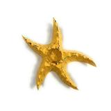 Starfish Candle Holder 9 - Rustic Coastal Yellow | #ata1801122y