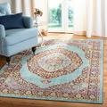 Safavieh Provance Hasibe Vintage Boho Oriental Rug 9 x 12 9 x 12 8 Round Indoor Living Room Bedroom Dining Room Rectangle