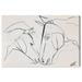 Wynwood Studio Mother And Colt II Animals Wall Art Canvas Print - Black White 24 x 16