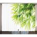 Bamboo House Decor Curtains 2 Panels Set Bamboo Leaf Illustration Icon for Wellbeing Health Fresh Purity Tranquil Art Print Living Room Bedroom Accessories 108 X 84 Inches by Ambesonne