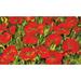 Toland Home Garden Red Poppies Spring Summer Door Mat 18x30 Inch Doormat