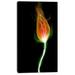 Design Art Fiery Fractal Flower with Stem Graphic Art on Wrapped Canvas