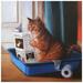 Empire Art Direct Cat On A Throne Graphic Art Print on Wrapped Canvas Wall Art 18 x 18 x 2 Ready to Hang