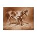 Trademark Fine Art Sienna Paint Canvas Art by Jack Sorenson