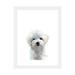 East Urban Home Maltese Puppy by Watercolor Luv - Painting Print Paper in White | 24 H x 16 W x 1 D in | Wayfair ACFF6EF98212440CA632FC24BF6B865E