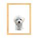 East Urban Home Maltese Puppy by Watercolor Luv - Painting Print Paper in White | 24 H x 16 W x 1 D in | Wayfair 59D1908637A54B9B9DDF8B97DC10274A