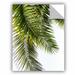 Bay Isle Home™ Glenam Palm Leaves Removable Wall Decal Vinyl in Green | 10 H x 8 W in | Wayfair 1997D67D26B24825AE97E1EC53A76944