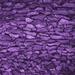 Indigo 0.35 in Area Rug - Ebern Designs Wool Purple Area Rug Wool | 0.35 D in | Wayfair F1ED889F0E55446D8518EF876B4742A9