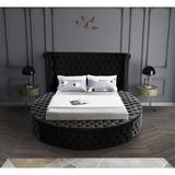 Wildon Home® Dorgan Tufted Low Profile Storage Platform Bed Upholstered/Velvet in Black | 55 H x 110 W x 100.5 D in | Wayfair