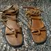 American Eagle Outfitters Shoes | Brown Gladiator Lace Up Sandals | Color: Brown | Size: 10