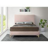 Everly Quinn Low Profile Platform Bed Upholstered/Velvet in Pink | 53 H x 65.5 W x 87.5 D in | Wayfair B6196184FC444F859914356AF3EF89DA