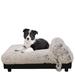 Milo Orthopedic Dog Bed, 24" L X 34" W X 12" H, Ivory, Large, White