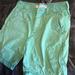 American Eagle Outfitters Shorts | American Eagle Classic Short, Size 34 | Color: Green | Size: 34