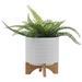 Ebern Designs Ceramic Planter Stand, White Chevron w/ Wooden Base, Indoor/Outdoor Planter w/ Stand For Your Succulents & Small Plants Ceramic | Wayfair