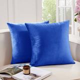 Everly Quinn Nicoletti Square Velvet Pillow Cover Velvet in Blue | 26 H x 26 W x 1 D in | Wayfair 257A7DB2B9354D8CAABC618A4D34ED1D