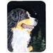 Red Barrel Studio® Bernadeta Bernese Mountain Dog Glass Cutting Board Glass | 0.15 H x 11.25 W x 15.38 D in | Wayfair