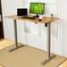 FlexiSpot 48" Width Bamboo Top Height Adjustable Standing Desk Wood/Metal in Gray | 48 W x 24 D in | Wayfair FC1S+4824BB-RA