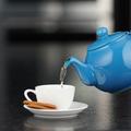 Prep & Savour 48 -oz. Porcelain Teapot Porcelain China/Ceramic in Blue | 7 H x 11 W x 7 D in | Wayfair 2FDC64BB840F4152964298A09E7D8EF6