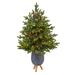 The Holiday Aisle® North Carolina 3.5' Green Fir Artificial Christmas Tree w/ 150 Clear Lights in Green/White | 42 H x 23 W in | Wayfair