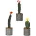 Williston Forge 3 Piece Assorted Cactus Floor Plant in Planter Plastic/Metal | 8 H x 6 W x 6 D in | Wayfair BFE4F4BC3B654B6EAE31A601683860D9