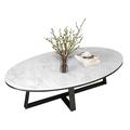 Oval Marble Coffee Tables for Living Room White l Modern Occasional End Side Table for Home Living Room Small Spaces Furniture