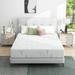 Full Medium Firm Foam Mattress - Alwyn Home Bolivar Plush | 74 H x 52.5 W in Wayfair 67D45B6335464F4EBD7727BB5F0ACD2F