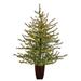 The Holiday Aisle® Vancouver Mountain 4.33' Green Pine Artificial Christmas Tree w/ 100 Clear Lights in Green/White | 52 H x 33 W in | Wayfair