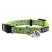 Glow In The Dark Green Safety Buckle Removable Bell Kitten or Cat Collar