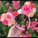 Disney Accessories | Floral Disney Ears Ntw | Color: Pink | Size: Osg