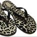 Kate Spade Shoes | Nwot Kate Spade Leopard Print Flip Flops | Color: Black/Tan | Size: 5