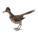 Valero Sienna Roadrunner Looking Down Statue in Black/Brown/White Laurel Foundry Modern Farmhouse® | 15.75 H x 20.67 W x 13.58 D in | Wayfair