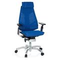 hjh OFFICE 652604 High End Bürostuhl GENIDIA PRO Netzstoff Blau Bürosessel ergonomisch, individuell einstellbar