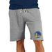 Men's Concepts Sport Gray Golden State Warriors Mainstream Terry Shorts
