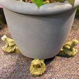 Nichols Bros. Stoneworks Frog Planter Feet Stone in Gray | 2.5 H x 2.25 W x 3.75 D in | Wayfair GNFRPT-AG